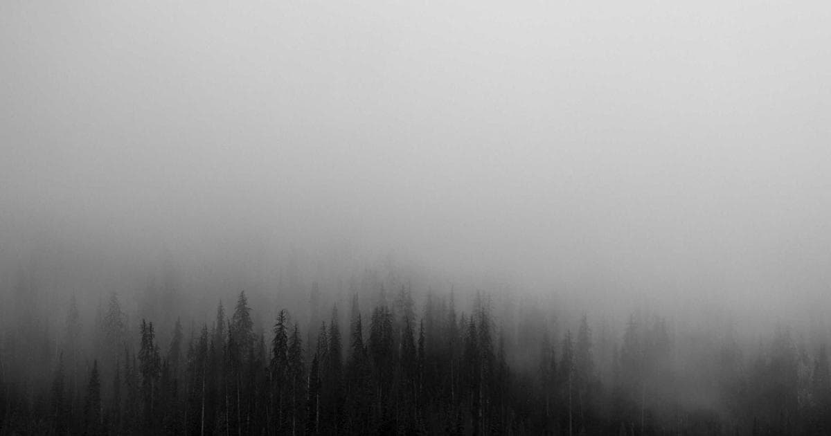 Metas KI-Strategie: Personalisierung und Interaktivität neu definiert