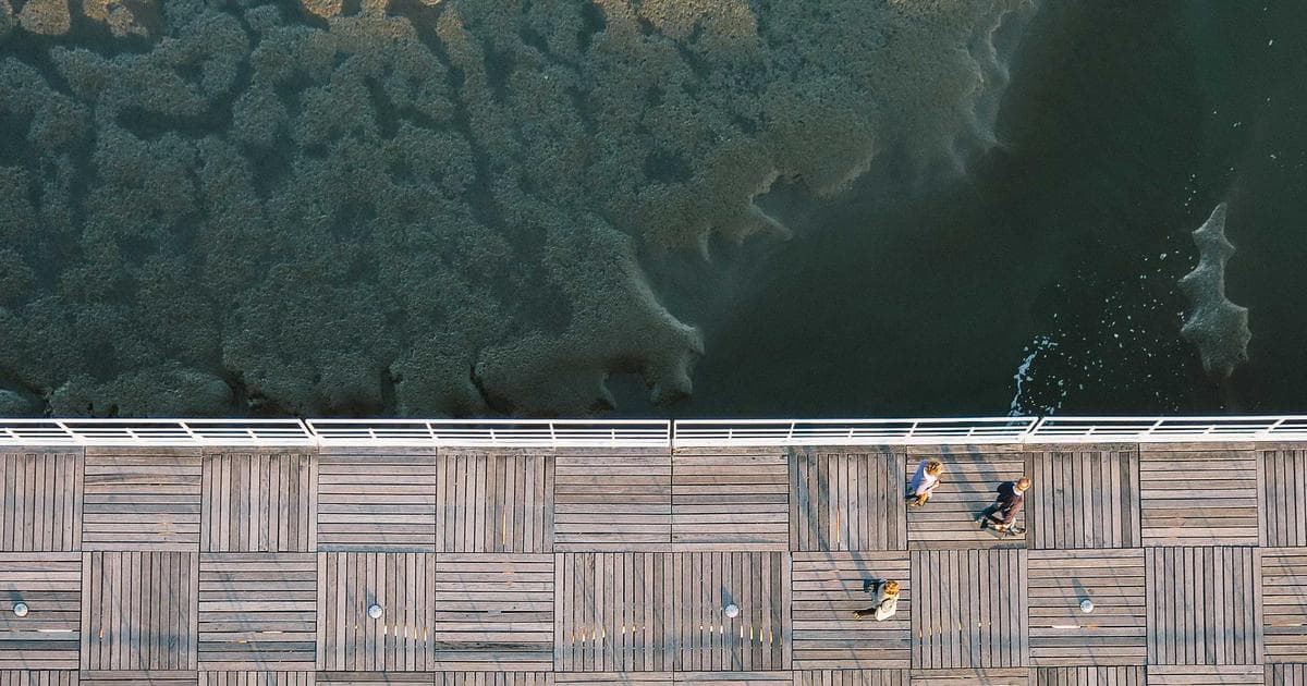 Mythen und Fakten über Künstliche Intelligenz