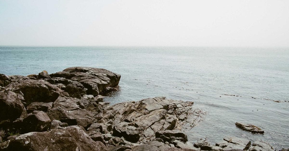 Nvidias KI-Lösung gegen die Speicherkrise in Videospielen