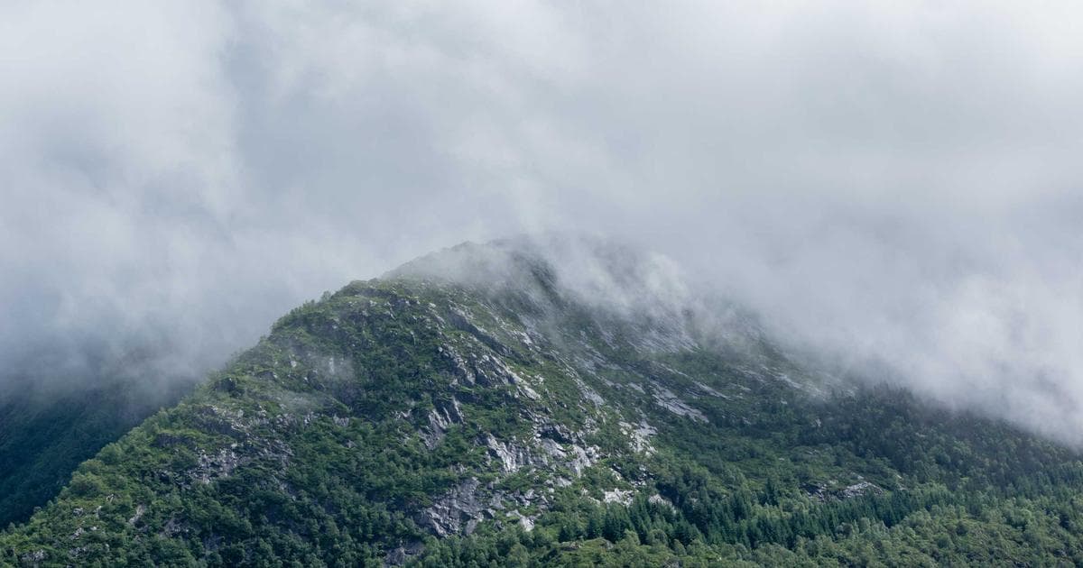 Europas Einfluss auf die Smartphone-Industrie