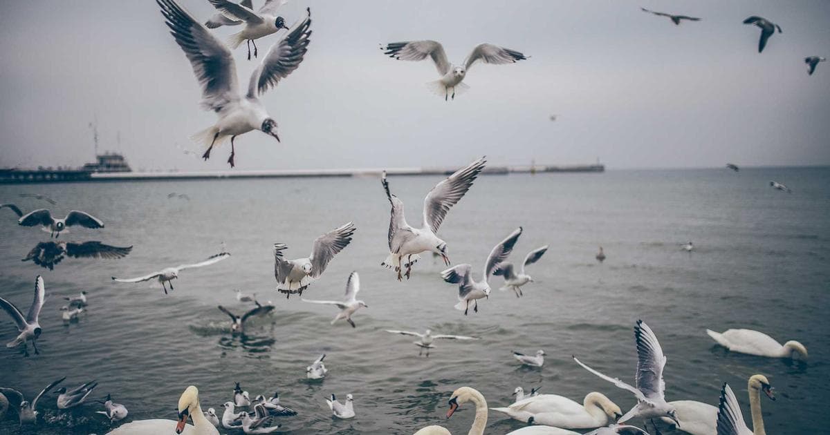 Die Auswirkungen von KI auf traditionelle Arbeitsplätze