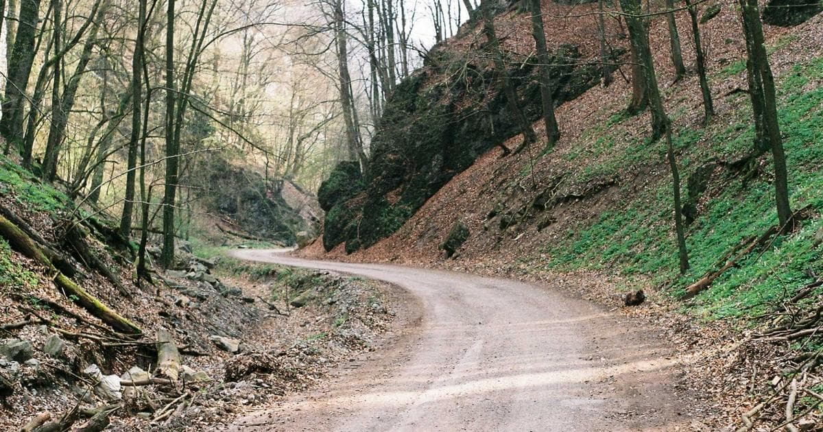 Google revolutioniert den KI-Sektor und Speicherchip-Markt