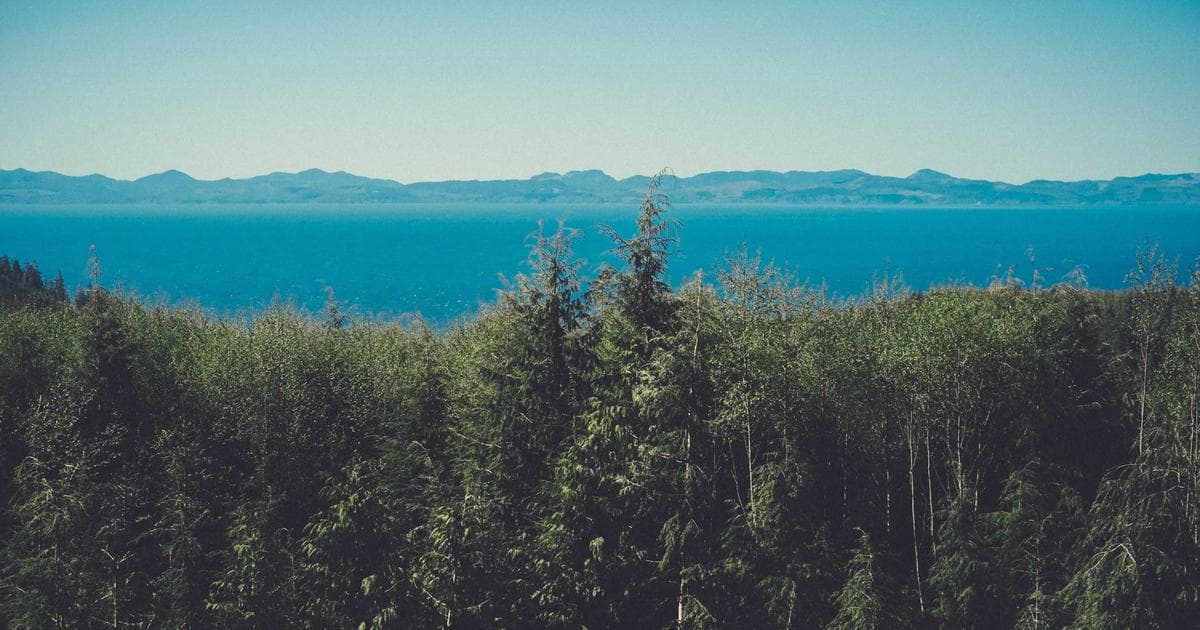 Cybersecurity Campus Graz: Fortschritt in der IT-Sicherheitsforschung