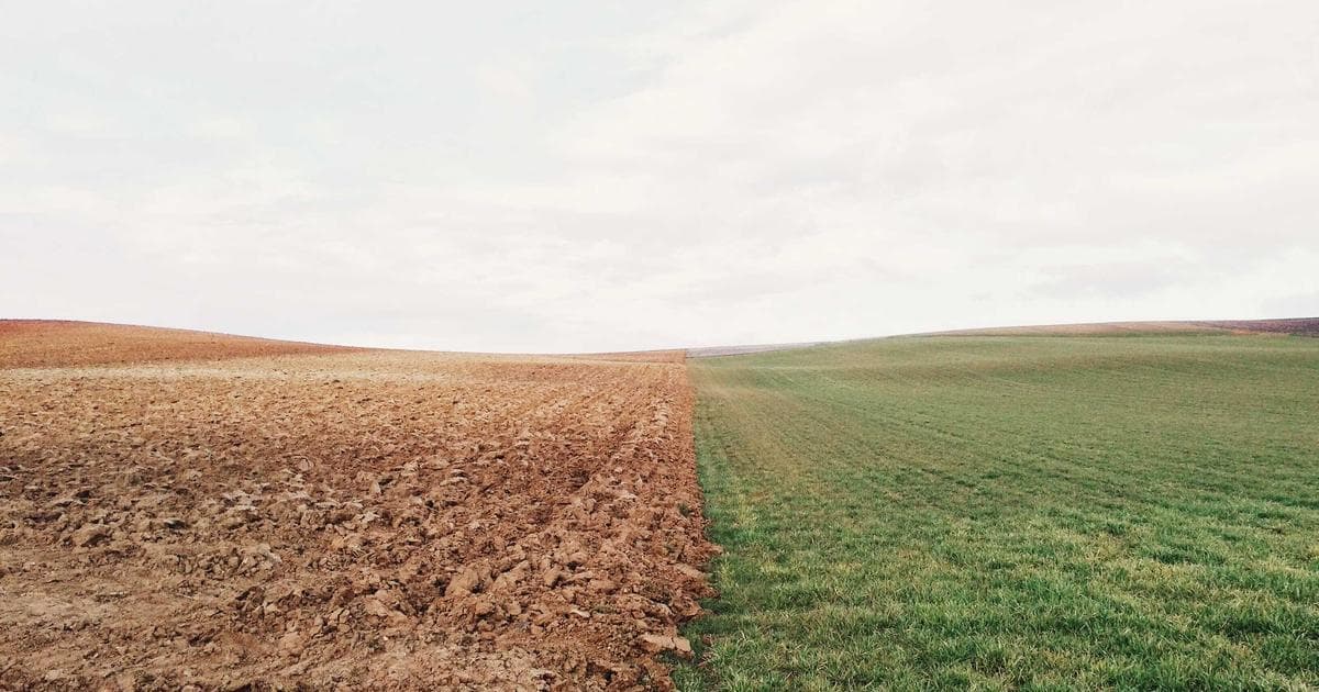 Xiaomi: Innovative Smartphones zu günstigen Preisen