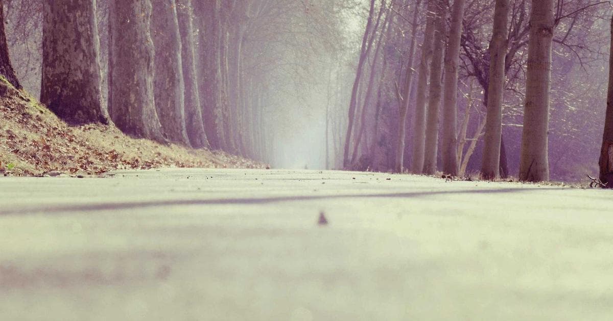 Microsoft Flight Simulator 2024: Systemanforderungen und Hardwaretipps