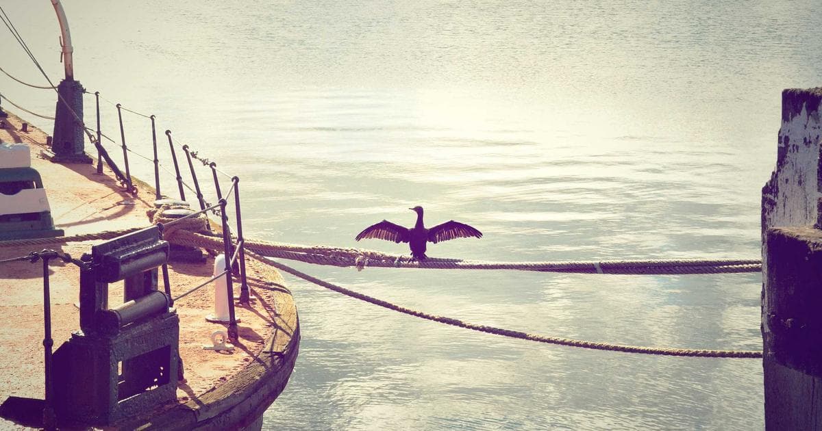 Samsung Galaxy M05: Einsteiger-Smartphone mit solider Leistung