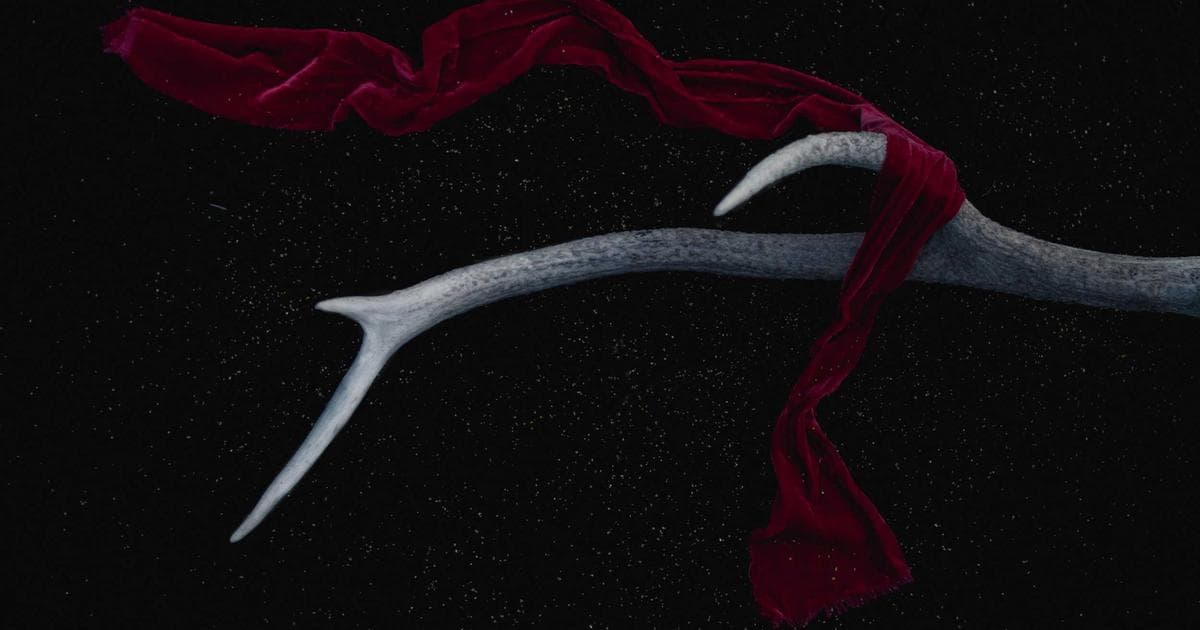 Smart Home: Trends in der Digitalisierung