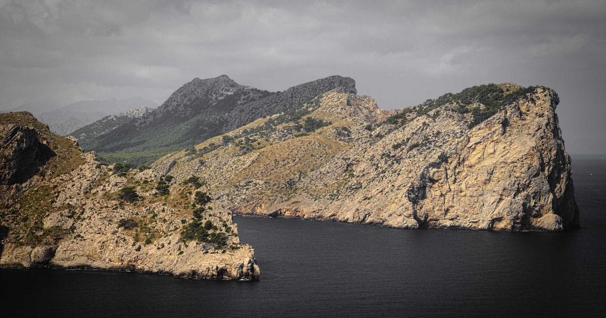 Künstliche Intelligenz in Neuburg: Chancen für die Bildung