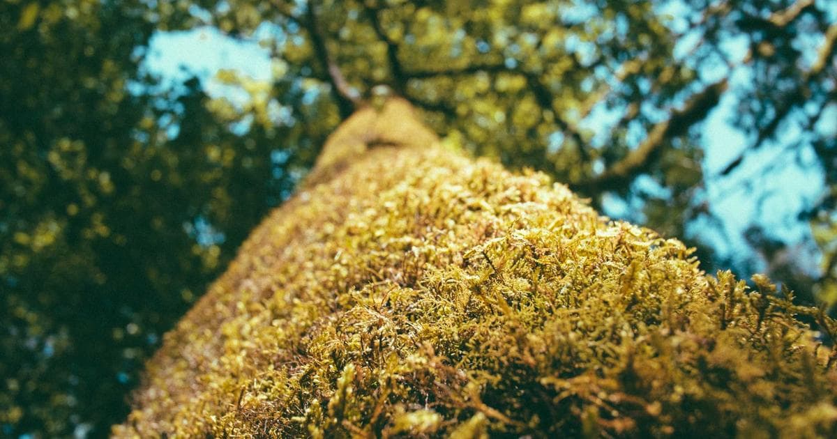 KI-gestützte Sicherheit im Campusbad Flensburg