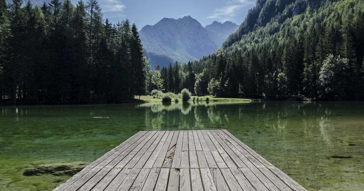 Zukunftstrends der Künstlichen Intelligenz in der Technologiebranche