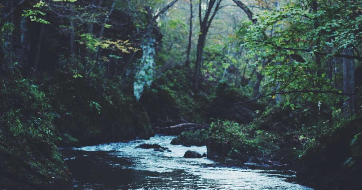 Fortschritte der Künstlichen Intelligenz in der Sprachverarbeitung